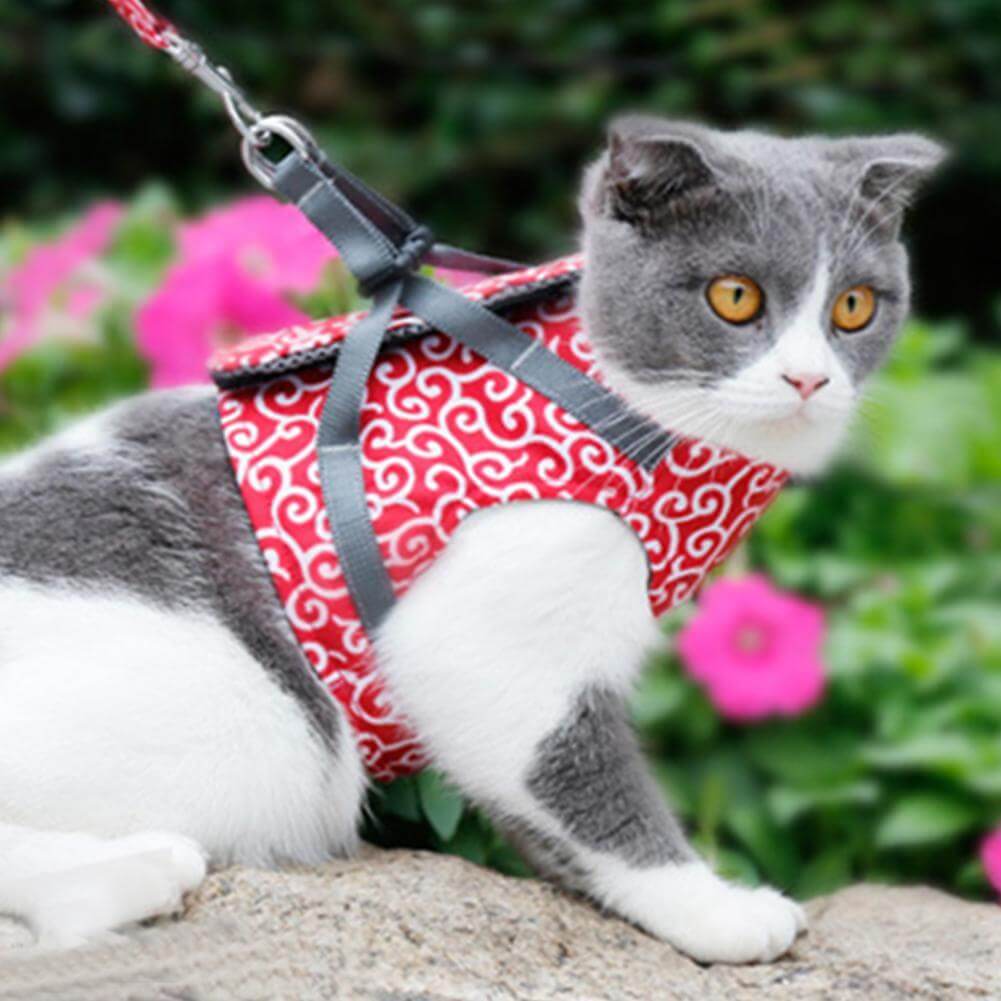 PAWVENTURE SELER – Katte Seler Vest Sæt med Åndbart Mesh &amp; Snor