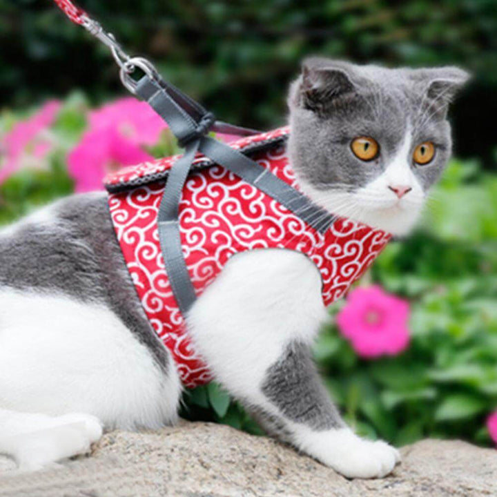 PAWVENTURE SELER – Katte Seler Vest Sæt med Åndbart Mesh &amp; Snor