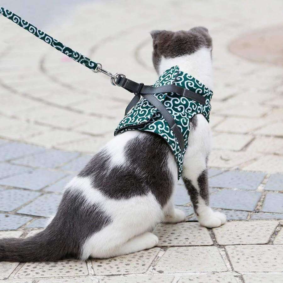 PAWVENTURE SELER – Katte Seler Vest Sæt med Åndbart Mesh &amp; Snor
