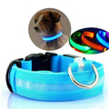 GlowPets LED Halsbånd – Sikkerhed & Synlighed for Kæledyr