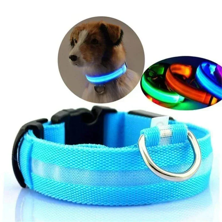 GlowPets LED Halsbånd – Sikkerhed &amp; Synlighed for Kæledyr