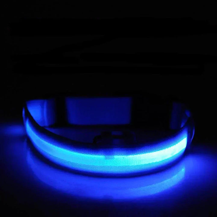 GlowPets LED Halsbånd – Sikkerhed &amp; Synlighed for Kæledyr