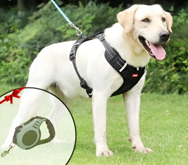 NoPull Hundesele – WalkEase