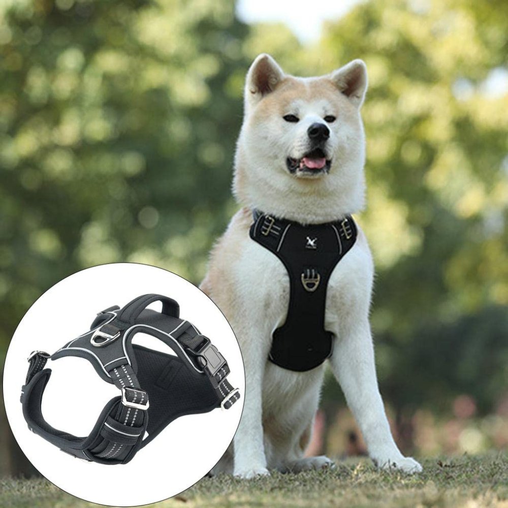 PowerHarness •  Ingen Træk Hundesele