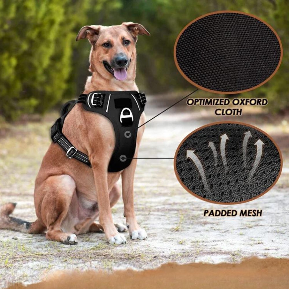 PowerHarness •  Ingen Træk Hundesele