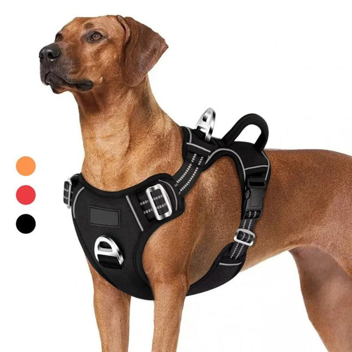 PowerHarness •  Ingen Træk Hundesele