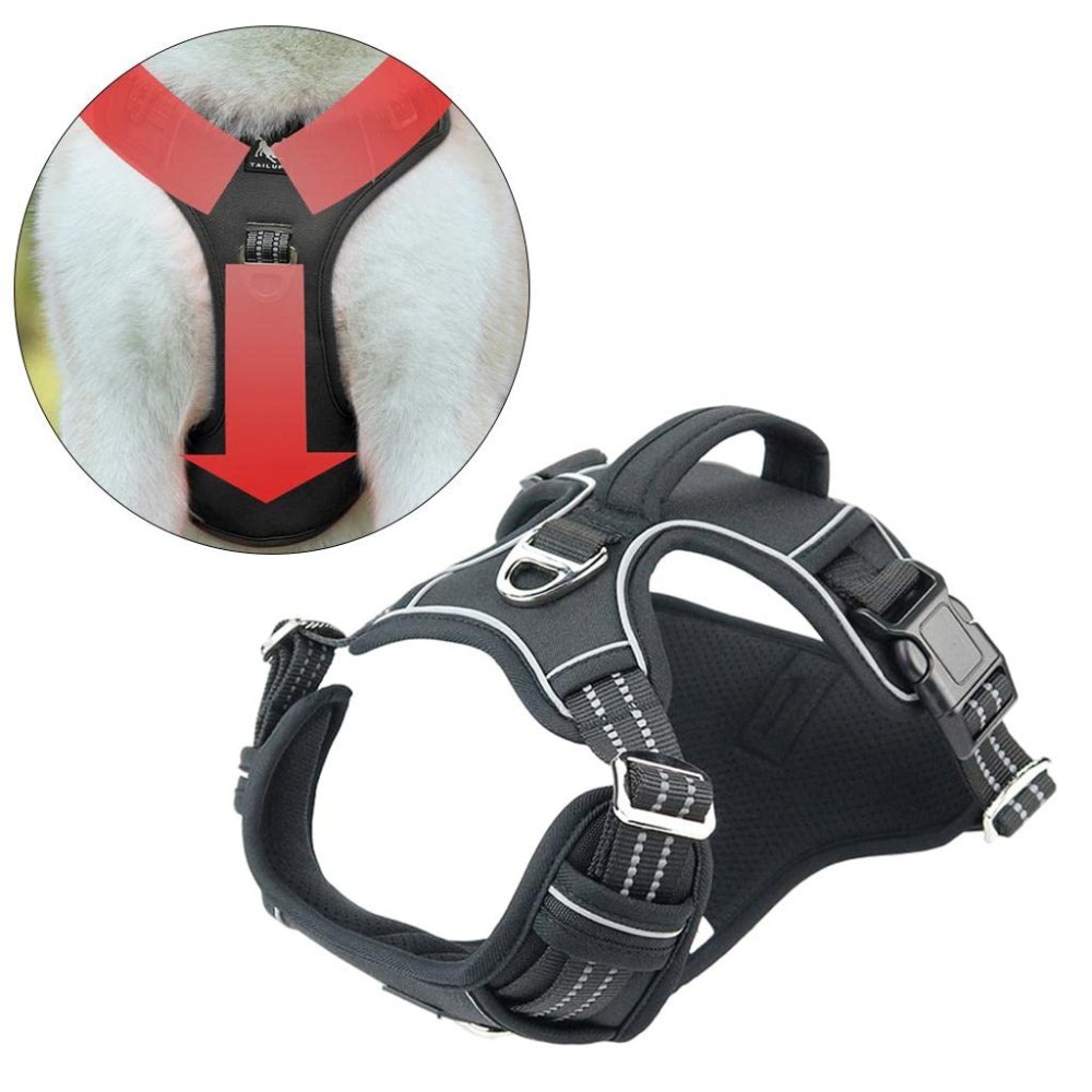 PowerHarness •  Ingen Træk Hundesele