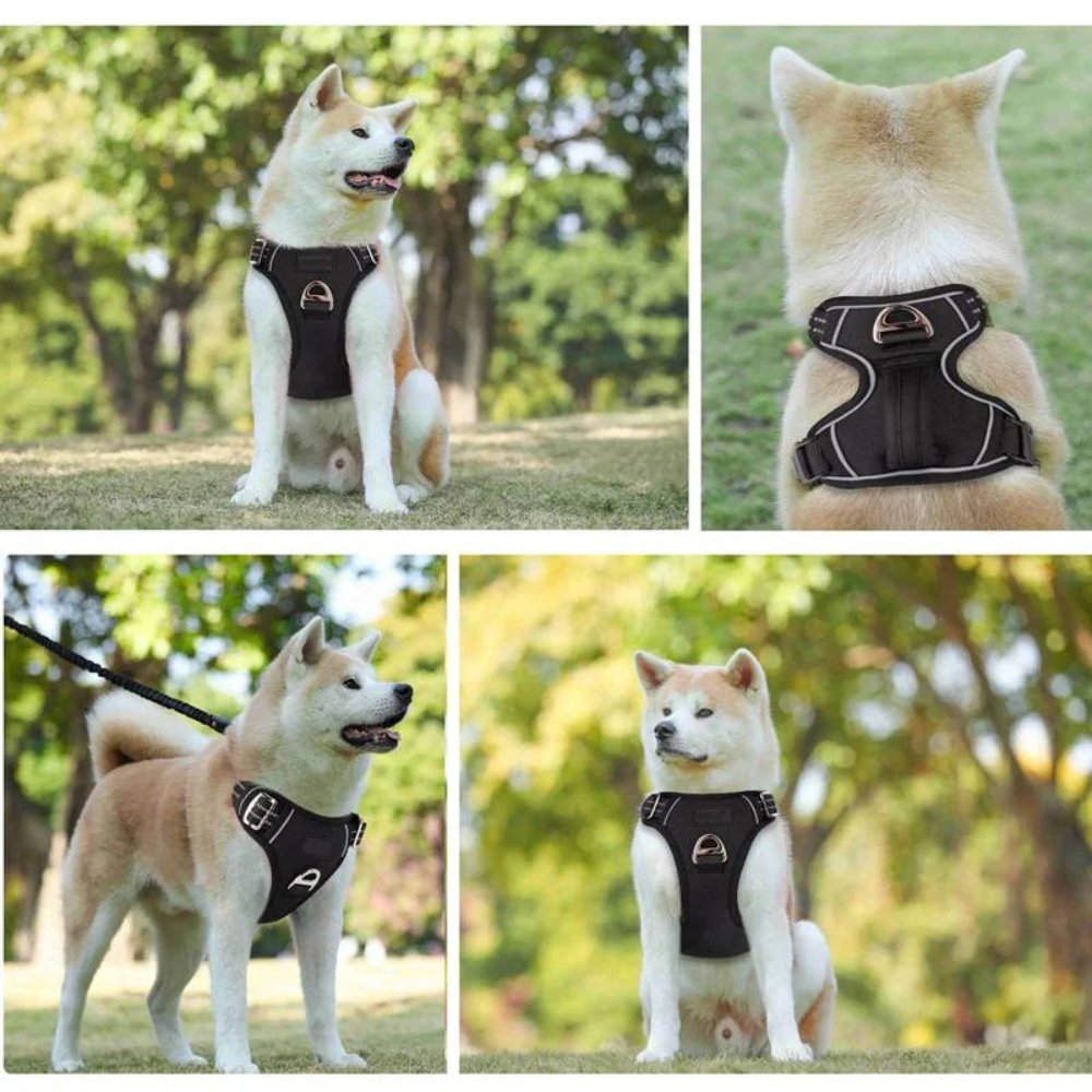 PowerHarness •  Ingen Træk Hundesele
