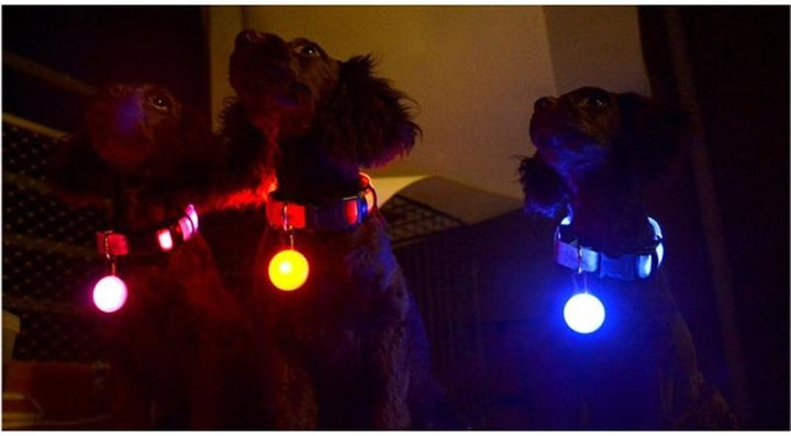 LED Flash Hundehalsbånd Pendant |