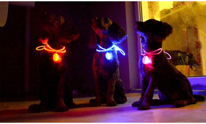 LED Flash Hundehalsbånd Pendant |