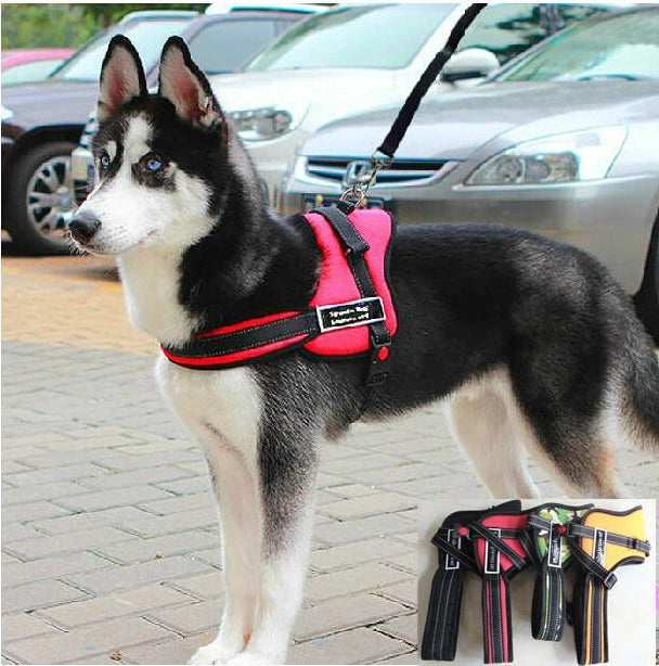 Hundegåseliner |