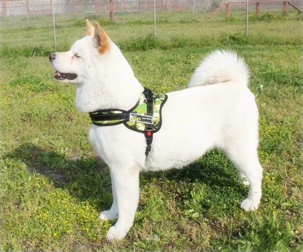 Hundegåseliner |