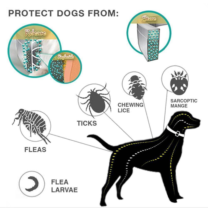 Flå- og Lopperdræbende Hundehalsbånd