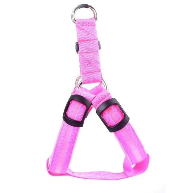 GlowSafe LED Hundesele
