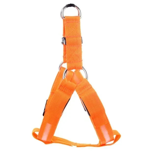 GlowSafe LED Hundesele