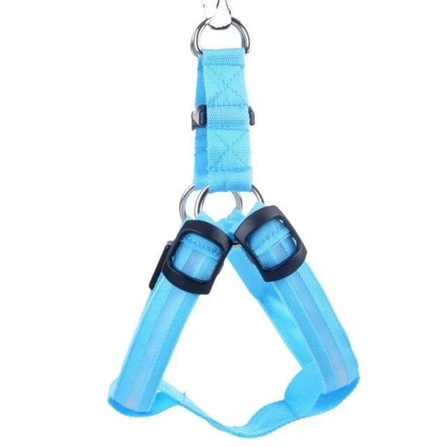 GlowSafe LED Hundesele