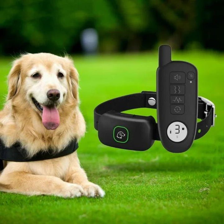 ProTrainer • Hundetræningskrave