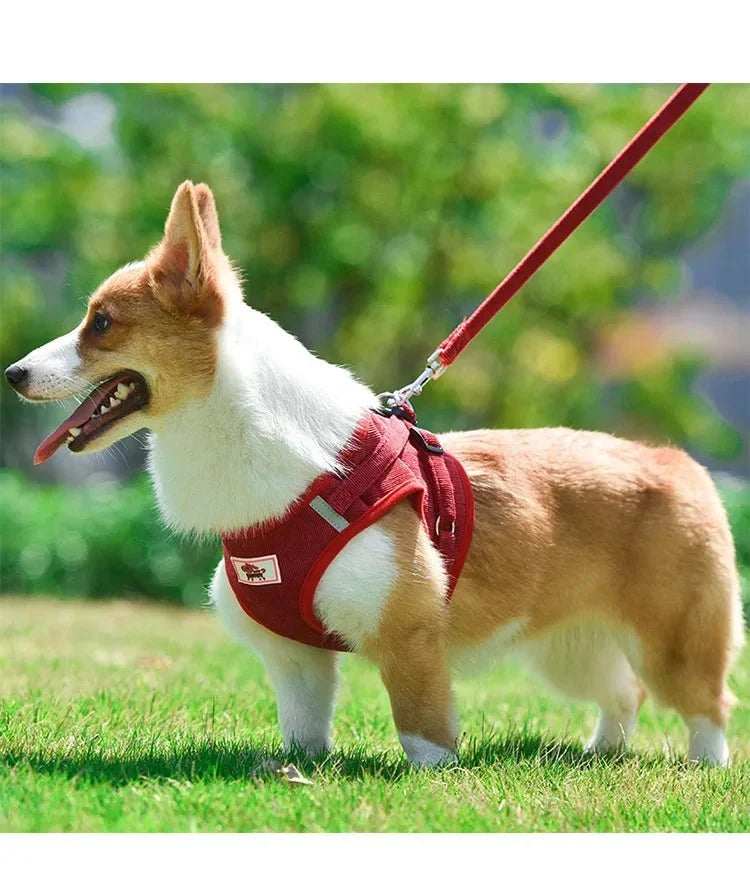 ReflectaHarness • Ingen Træk Hundesele