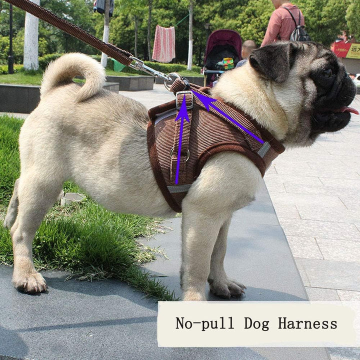ReflectaHarness • Ingen Træk Hundesele