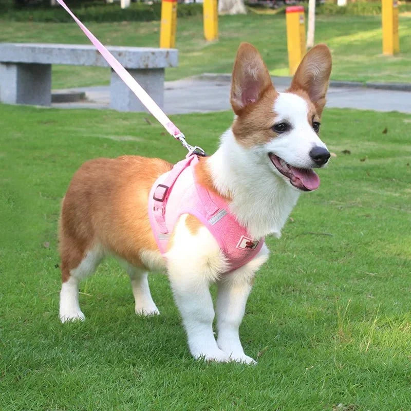 ReflectaHarness • Ingen Træk Hundesele