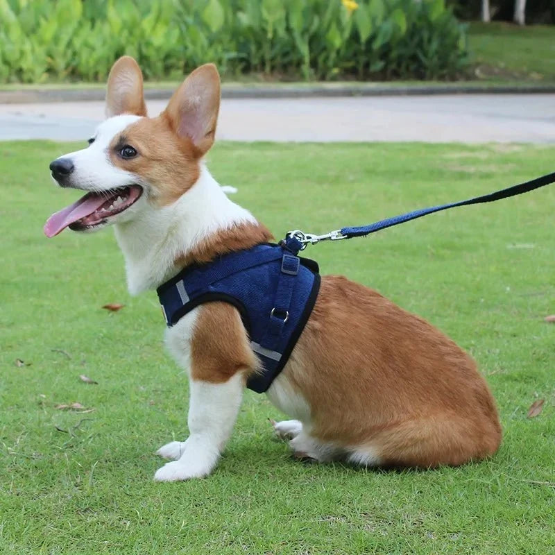 ReflectaHarness • Ingen Træk Hundesele