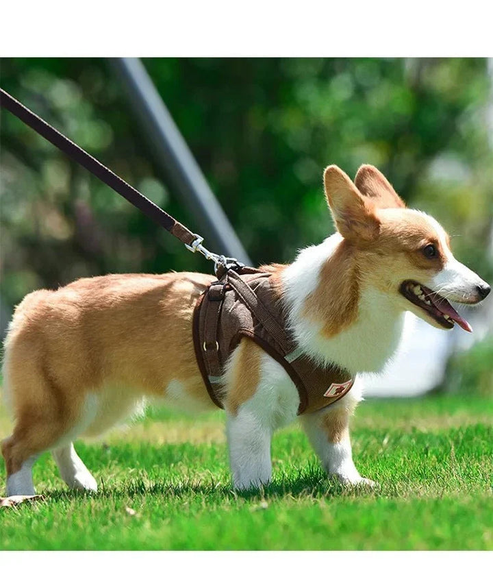 ReflectaHarness • Ingen Træk Hundesele
