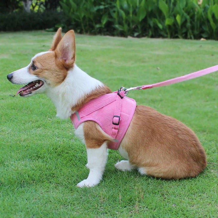 ReflectaHarness • Ingen Træk Hundesele