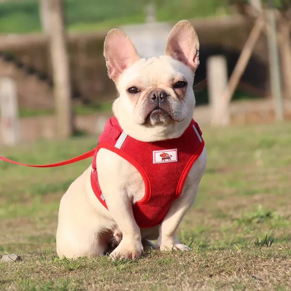 ReflectaHarness • Ingen Træk Hundesele