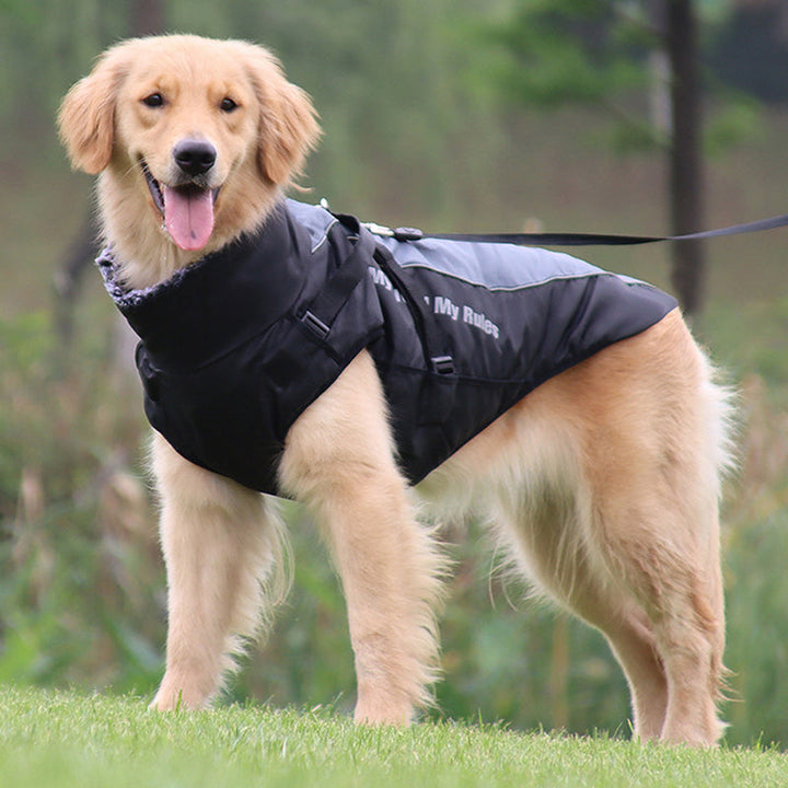 Reflekterende Hundejakke med Sele - GlowPaw™