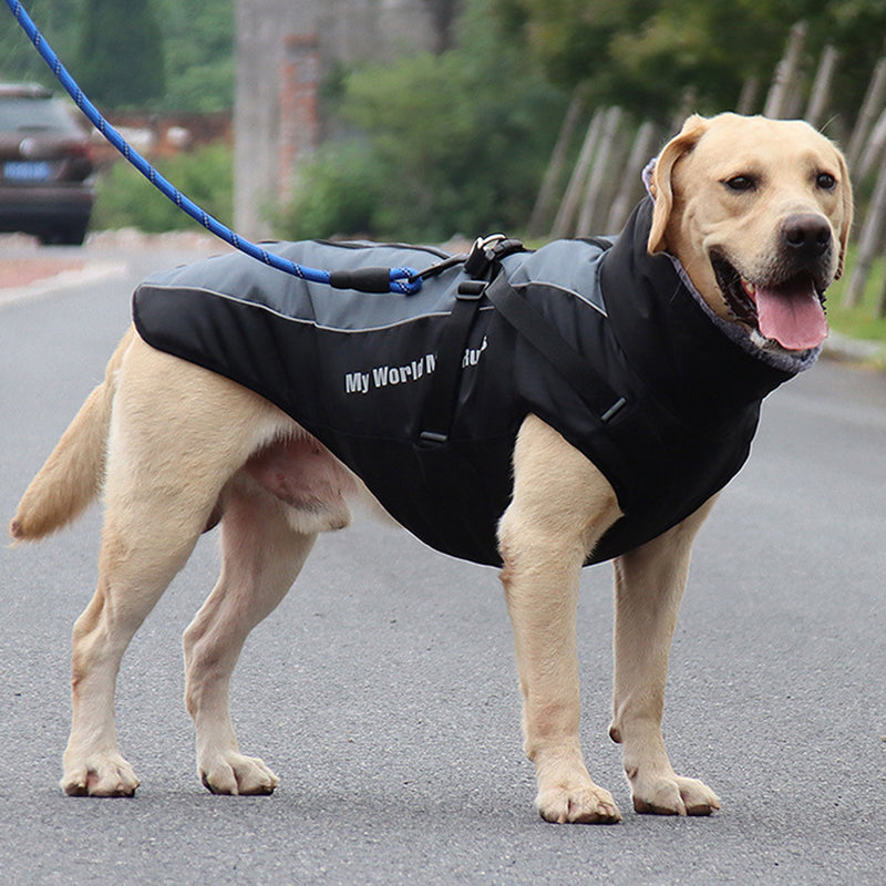 Reflekterende Hundejakke med Sele - GlowPaw™