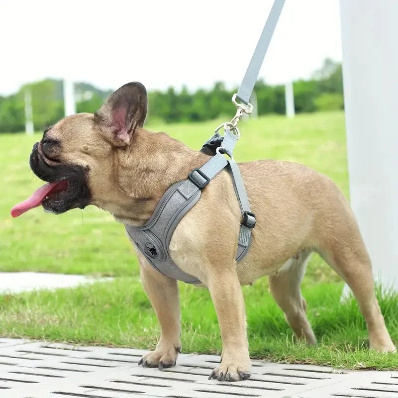 ReflectoLeash •  Ingen Træk Hundesele