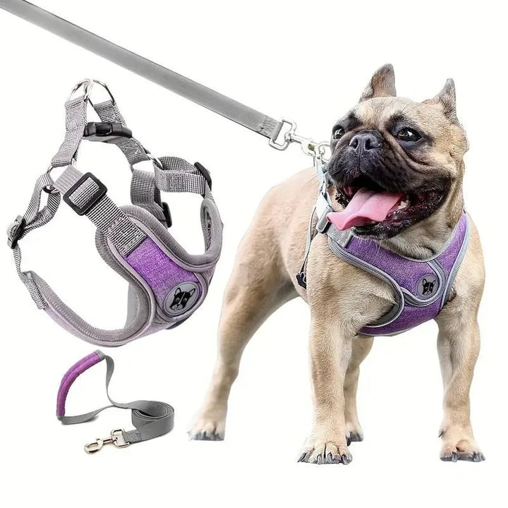 ReflectoLeash •  Ingen Træk Hundesele