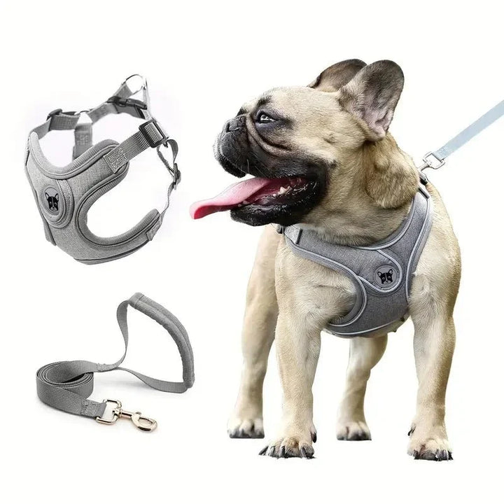 ReflectoLeash •  Ingen Træk Hundesele