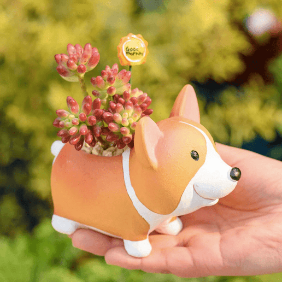 Resin Corgi Mini Blomsterkrukke