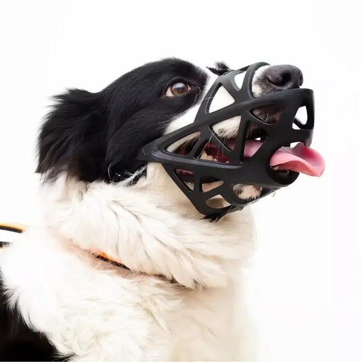 SafeBark • Hundebid