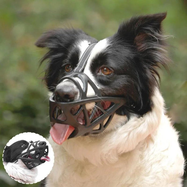 SafeBark • Hundebid