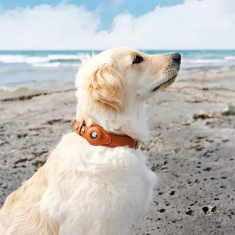 SafeTrack • Premium AirTag Hundehalsbånd