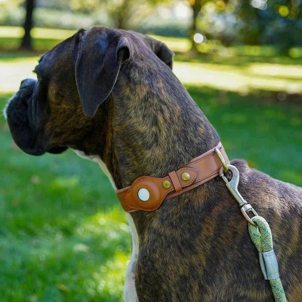 SafeTrack • Premium AirTag Hundehalsbånd