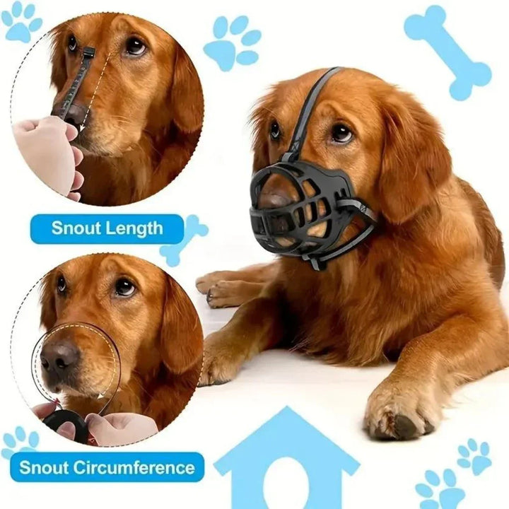 SecureFit  • Hundebid