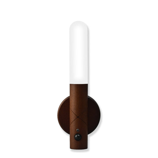 Intelligent Sensor Natlampe |
