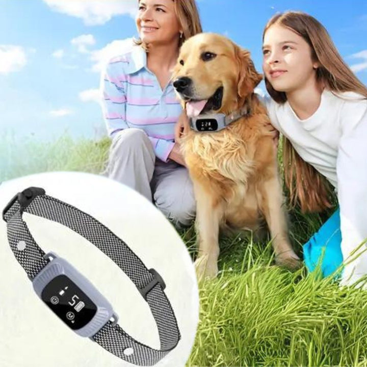 SmartBark • Justerbar Anti-Bark Krave