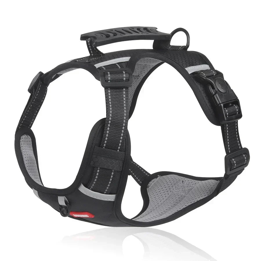 Robust &amp; Komfortabel Hundesele - ActivePup™
