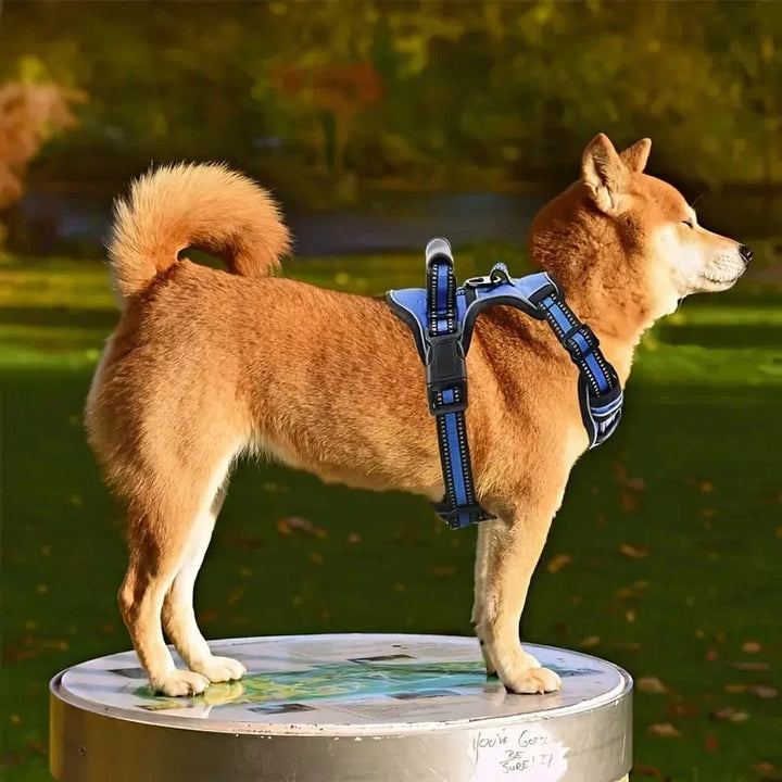 TotalControl •  Ingen Træk Hundesele