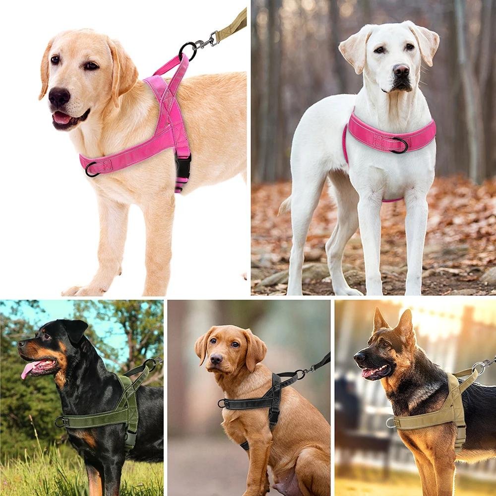 TruHarness •  Ingen Træk Hundesele