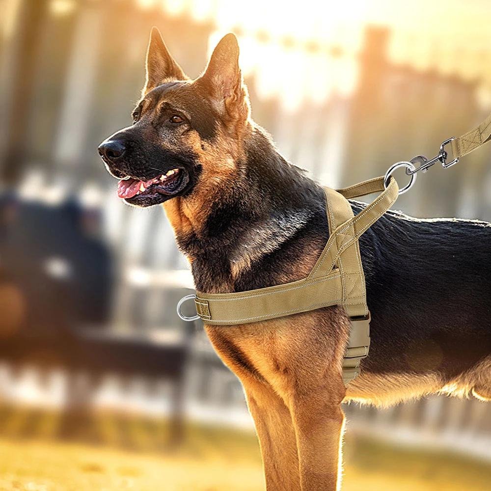 TruHarness •  Ingen Træk Hundesele