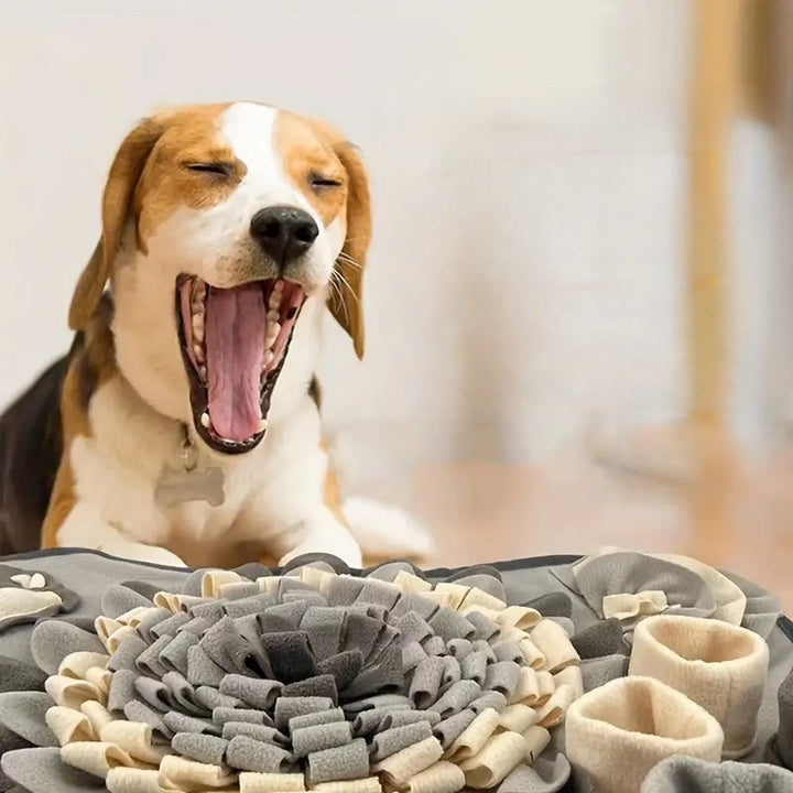 Gør Måltidet til et Snuseeventyr – Buddy Snuffle Mat