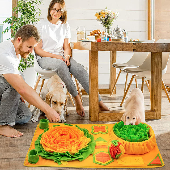 Snuffle Mat til Hunde