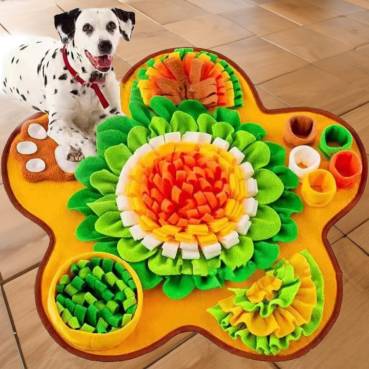 Snuffle Mat til Hunde