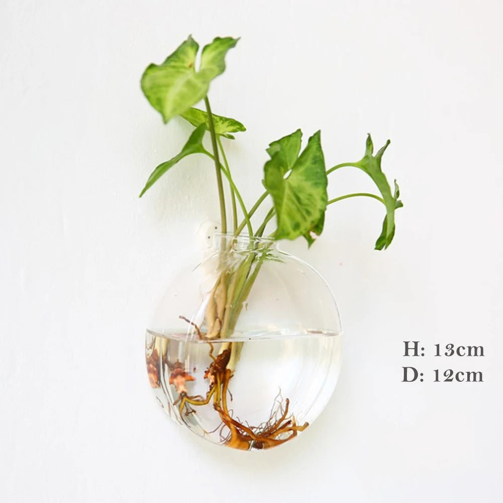 Væg vase lavet af glas